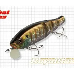 Evergreen Royal Flash Jr.