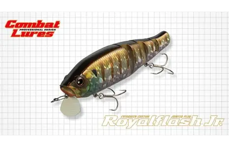 Evergreen Royal Flash Jr.