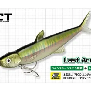 Evergreen Last Ace 168