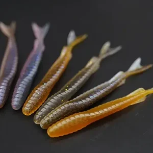 Galapagos Zegrashad