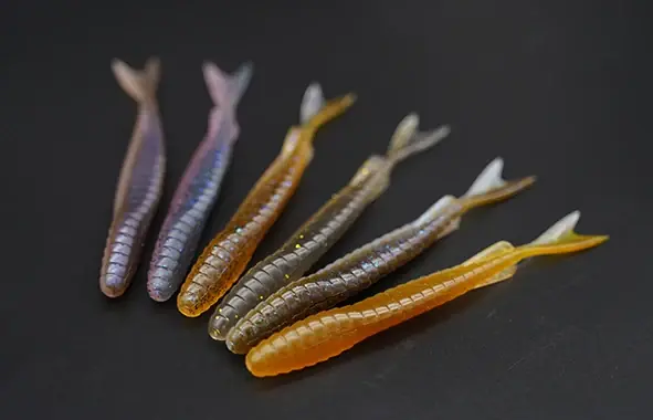 Galapagos Zegrashad