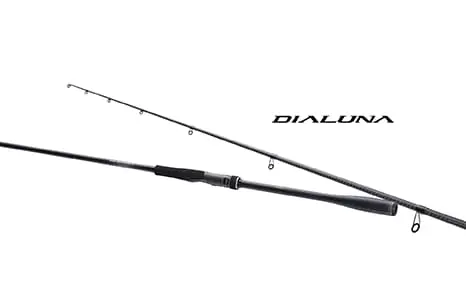 Shimano '23 Dialuna Spin