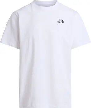 T-Shirt "Evolution Simple Dome"