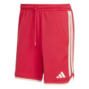 Shorts "Stadium Mesh"
